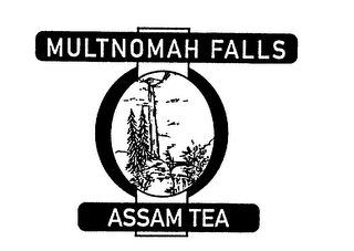 MULTNOMAH FALLS ASSAM TEA