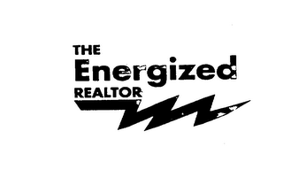 THE ENERGIZED REALTOR