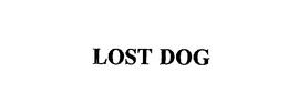 LOST DOG