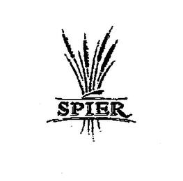SPIER
