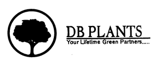 DB PLANTS Y0UR LIFETIME GREEN PARTNERS.....