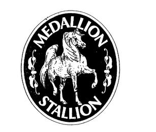 MEDALLION STALLION