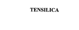 Tensilica, Inc.