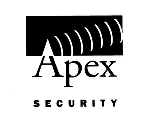 APEX SECURITY