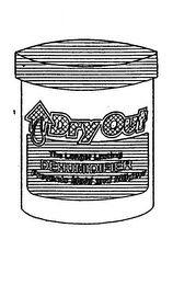 DRY OUT THE LONGER LASTING DEHUMIDIFIER PREVENTS MOLD AND MILDEW