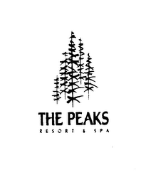 THE PEAKS RESORT & SPA