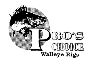 PRO'S CHOICE WALLEYE RIGS