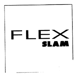 FLEX SLAM