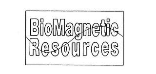 BIOMAGNETIC RESOURCES