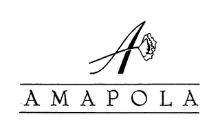 A M A P O L A