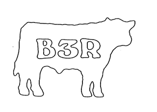 B3R