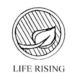 LIFE RISING