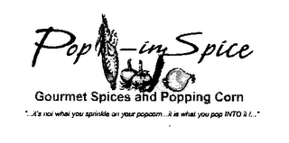 POP-IN SPICE GOURMET SPICES AND POPPINGCORN "...IT'S NOT WHATYOU SPRINKLE ON YOUR POPCORN...IT IS WHAT YOU POP INTO IT !..."