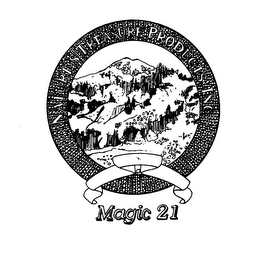 NATURES TREASURE PRODUCTS, INC. MAGIC 21