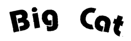 BIG CAT