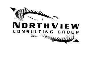 NORTHVIEW CONSULTING GROUP