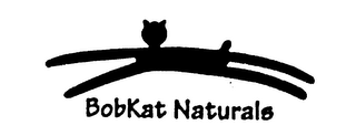 BOBKAT NATURALS