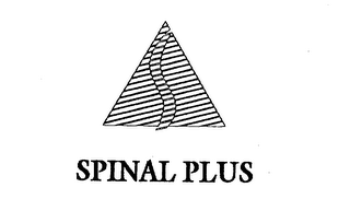 SPINAL PLUS