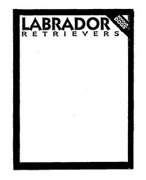 LABRADOR RETRIEVERS POPULAR DOGS