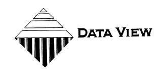 DATA VIEW