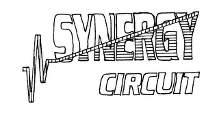 SYNERGY CIRCUIT