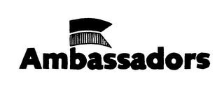 AMBASSADORS