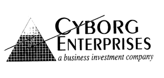 CYBORG ENTERPRISES A BUSINESS INVESTMENT COMPANY