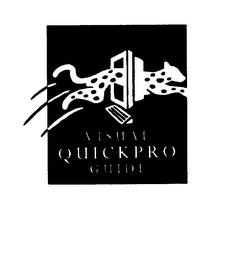 VISUAL QUICKPRO GUIDE