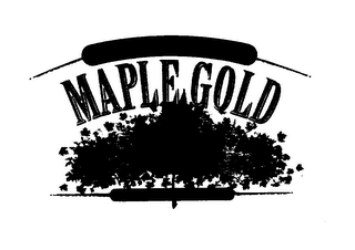 MAPLE GOLD