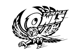 TEMPLE OWLS