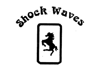 SHOCK WAVES