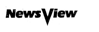 NEWSVIEW