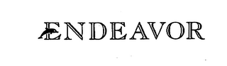 ENDEAVOR