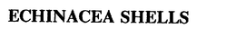 ECHINACEA SHELLS