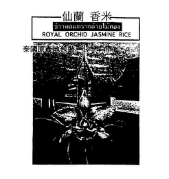 ROYAL ORCHID JASMINE RICE