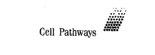 CELL PATHWAYS