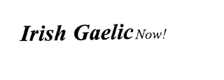 IRISH GAELIC NOW!