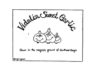 VIDALIA SWEET GARLIC GROWN IN THE MAGICAL GROUND OF SOUTHEAST GEORGIA GEORGIA GROWN