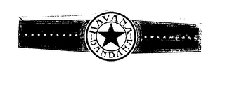 HAVANA BANDANA