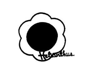 HELIANTHUS