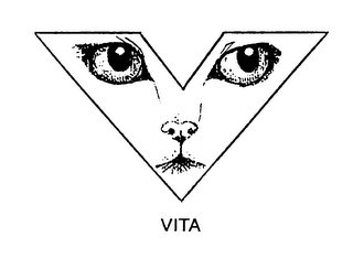 V VITA