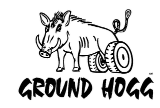 GROUND HOGG