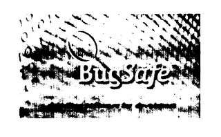 BUGSAFE DETECTION SOFTWARE FOR DEVELOPERS