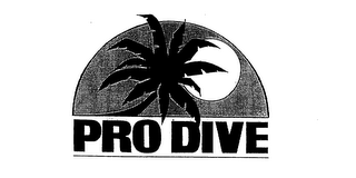 PRO DIVE