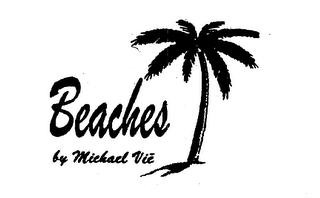 BEACHES BY MICHAEL VIE