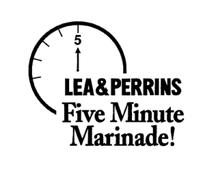 LEA&PERRINS FIVE MINUTE MARINADE!