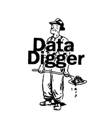 DATA DIGGER