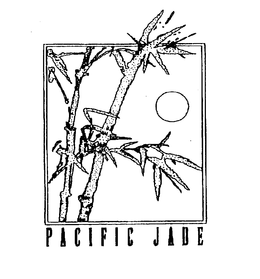 PACIFIC JADE