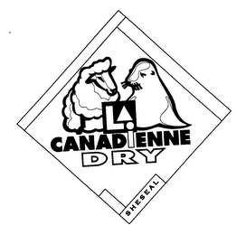 CANADIENNE DRY SHESEAL