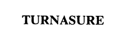 TURNASURE LLC